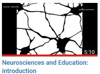 Neurosciences and Education: introduction